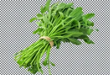 Daun Kangkung dan Khasiatnya untuk Rambut
