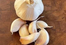 Bawang Putih dan Segudang Manfaatnya Bagi Kesehatan