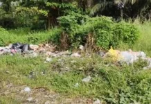 Dinas Lingkungan Hidup Kalimantan Tengah Ajak Warga Kurangi Sampah