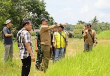 Pemerintah Kabupaten Barito Timur Dorong Sektor Pertanian dan Perikanan