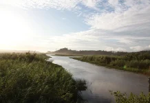 Kasus Tenggelam di Sungai Kalteng Kian Meningkat, Kewaspadaan Perlu digencarkan
