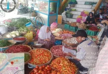 Harga Cabai di Pangkalan Bun Anjlok Signifikan pada Awal April 2026