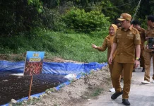 Bupati Pulang Pisau Serahkan Bantuan Benih Ikan ke Pokdakan