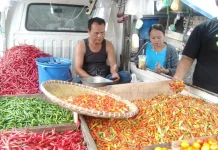 Harga Cabai dan Ayam Ras Kembali Naik di Palangka Raya