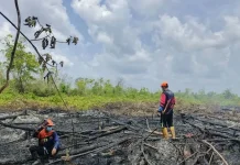 Kotawaringin Timur Berstatus Siaga Karhutla dan Kekeringan