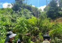 Longsor Ancam Tower Telekomunikasi, Bupati Barut Instruksikan Penanganan