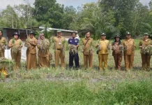 Dinas TPHP Kalteng Laksanakan Panen Bawang Merah di Tangkiling