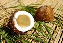 Sabut Kelapa Berpotensi Jadi Produk Unggulan Ramah Lingkungan