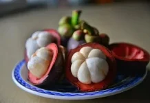 Kulit Manggis Penangkal Radikal Bebas