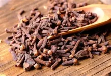 Cengkeh, Antiseptik dan Antibakteri Alami