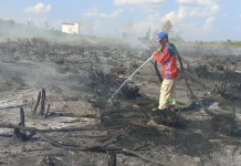 Potensi Karhutla Meningkat, BPBD Palangka Raya Intensifkan Pengawasan