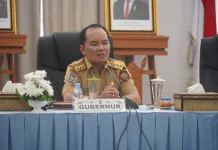 Pemprov Kalteng Percepat Penanganan Jalan Katingan Hulu
