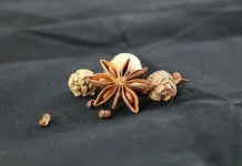 Manfaat Adas untuk Kesehatan, Rempah Tradisional yang Kaya Khasiat