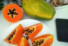 Biji Pepaya, Sumber Nutrisi Alami dengan Beragam Manfaat Kesehatan