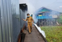 Masuki Peralihan Musim, Dinkes Palangka Raya Ingatkan Waspada DBD