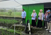 Studi Tiru ke Nganjuk, Pemkab Barut Perkuat Sinergi Sektor Pertanian