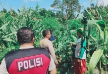 Personel Polsubsektor Jekan Raya Kunjungi Perkebunan Warga