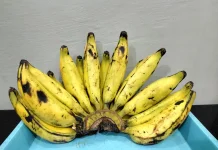 Manfaat Konsumsi Buah Pisang untuk Tubuh