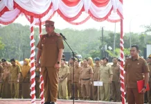 Wabup Pulang Pisau Tekankan Poin Strategis dalam Harmoniskan Pelaksanaan Otda