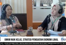 UMKM Naik Kelas Dorong Pertumbuhan Ekonomi Nasional