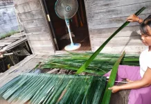 Solidaritas Perempuan Soroti Ketimpangan Gender dalam Transisi Energi Global