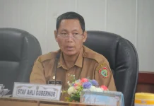 Pemprov Kalteng Rakor Sinergi Pengendalian Inflasi Bersama Kemendagri