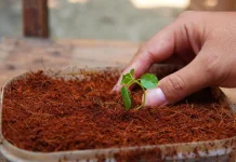 Cocopeat Media Tanam Organik dari Sabut Kelapa