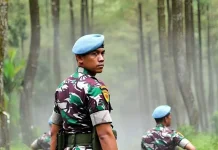 Hari Polisi Militer TNI, Ini Sejarah dan Perannya bagi Negara