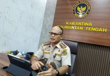 Barantin Kalteng dan Peternak Lokal Sinergi Pastikan Hewan Kurban Bebas PMK