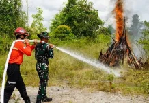 Latihan Gabungan Kotim untuk Tanggulangi Karhutla