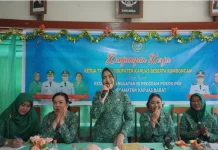 Ketua TP PKK Kabupaten Kapuas Lakukan Kunjungan Kerja ke Kapuas Barat
