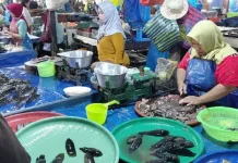 Jual Ikan Sungai di Palangka Raya Dinilai Masih Memiliki Prospek yang Baik