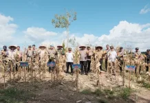 Bupati Kapuas Hadiri Penen Raya Jagung Serentak Kuarta II Tahun 2026