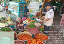 Harga Cabai di Kobar Fluktuatif pada Minggu Kedua Mei 2026