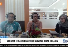 DPKP Palangka Raya Terapkan Sistem Zonasi dalam Pemeriksaan Hewan Kurban