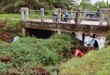 Sinergi Lintas Sektor Dinilai Penting untuk Penataan Drainase di Palangka Raya