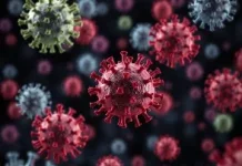 Langkah Sederhana Mencegah Penularan Virus