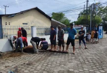 PWI Kalteng Sembelih 4 Ekor Sapi Kurban di Hari Raya Iduladha 1447 Hijriah