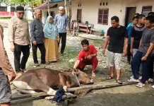 Yayasan Budi Mulya Terima Hewan Kurban dari Kapolda Kalteng dan Keluarga Sucipto