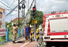 Cegah Bahaya, Satpol PP dan Damkar Kobar Tertibkan Baliho Berisiko Roboh