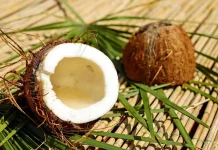 Batok Kelapa, Limbah yang Bernilai Ekonomis Tinggi