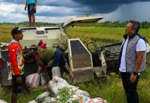 Bulog Kalteng Terus Menyerap Gabah Petani, Capaian Nasional 3 Juta Ton Setara Beras