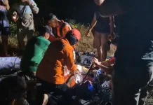 Dua Pemuda Hilang di Hutan Kapuas Ditemukan Selamat