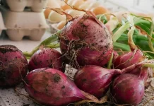 Manfaat Bawang Merah untuk Kesehatan Tubuh
