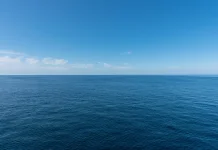 Peringatan Hari Laut Sedunia Dorong Kepedulian Terhadap Kelestarian Laut