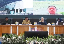 Atasi Kenaikan Harga, Kemendagri Dorong Daerah Perbanyak Tanam Cabai