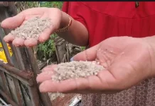 Warga Sampit Tertipu Beras Murah, Buka Karung Isinya ternyata Pasir