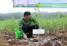 Peringati Hari Lingkungan Hidup, Pemkab Pulang Pisau Hijaukan Kawasan Rest Area