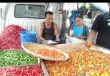 Harga Pangan Picu Inflasi, Pemko Palangka Raya Gencarkan GPM
