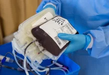 Hari Donor Darah Sedunia 2026, Tingkatkan Solidaritas Kemanusiaan